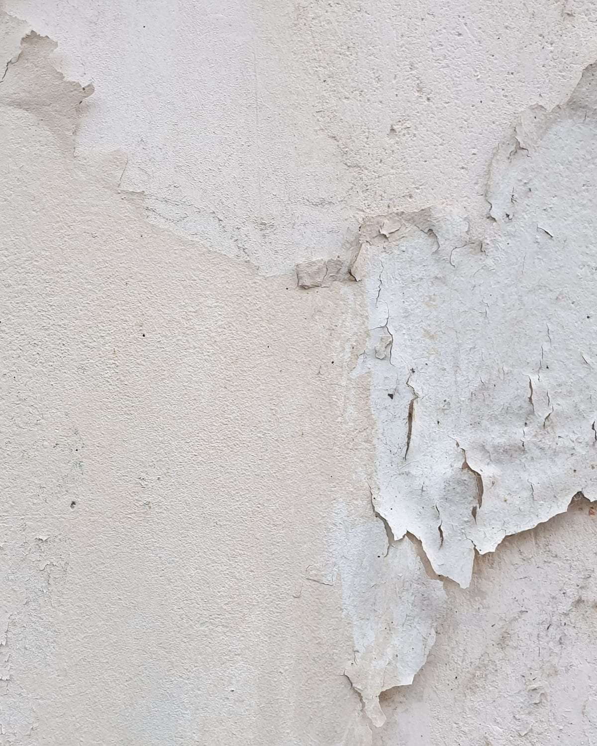 دهان متقشر على جدار بسبب الرطوبة