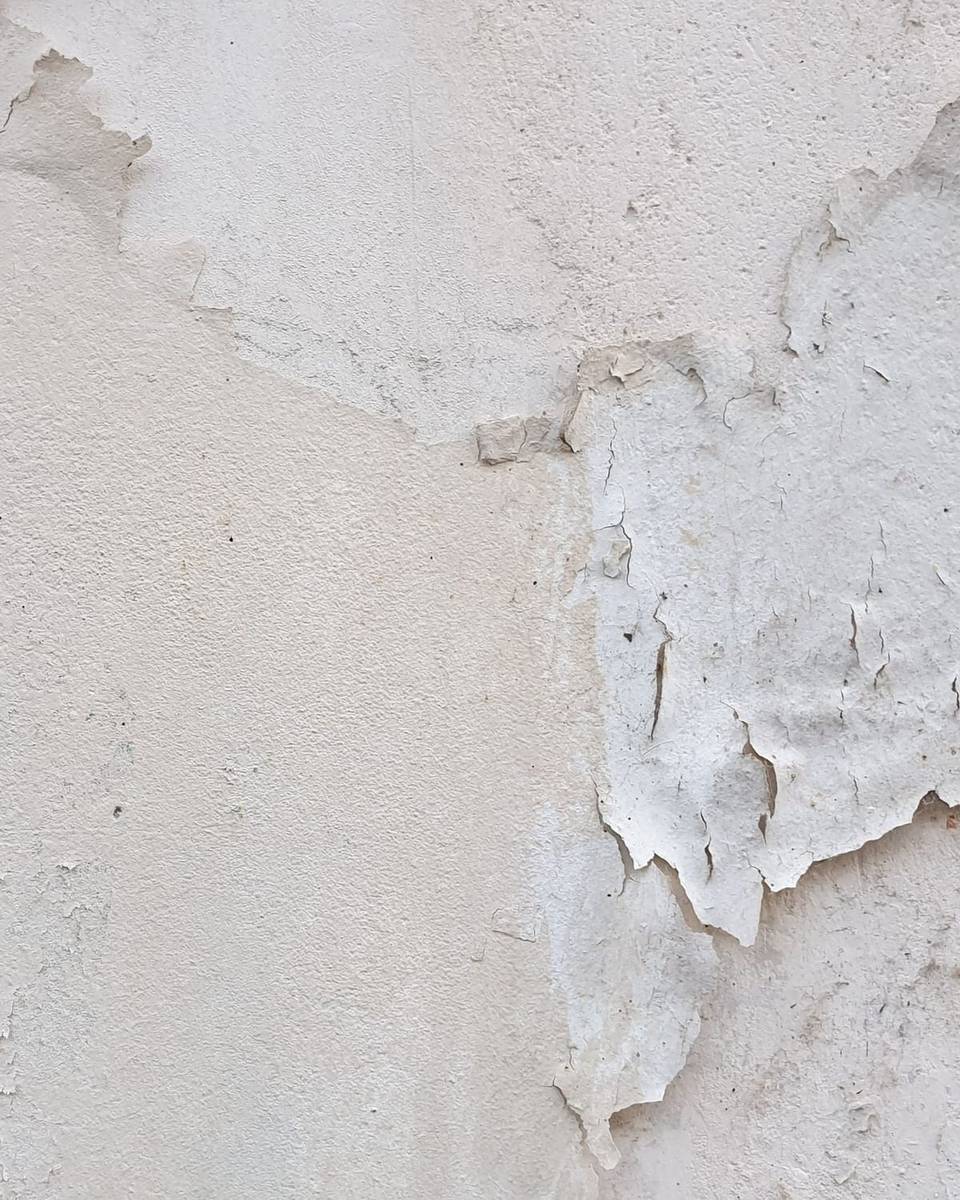دهان متقشر على جدار بسبب الرطوبة